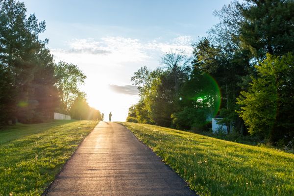 Cost of Asphalt Pathway Installation in Fremont